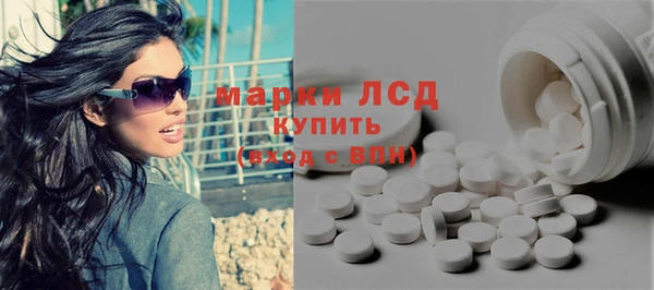 амф Снежногорск