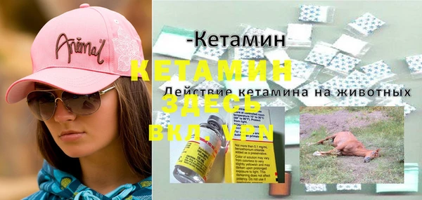 каннабис Инта