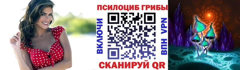 где купить наркоту  Нестеров  Галлюциногенные грибы мицелий 